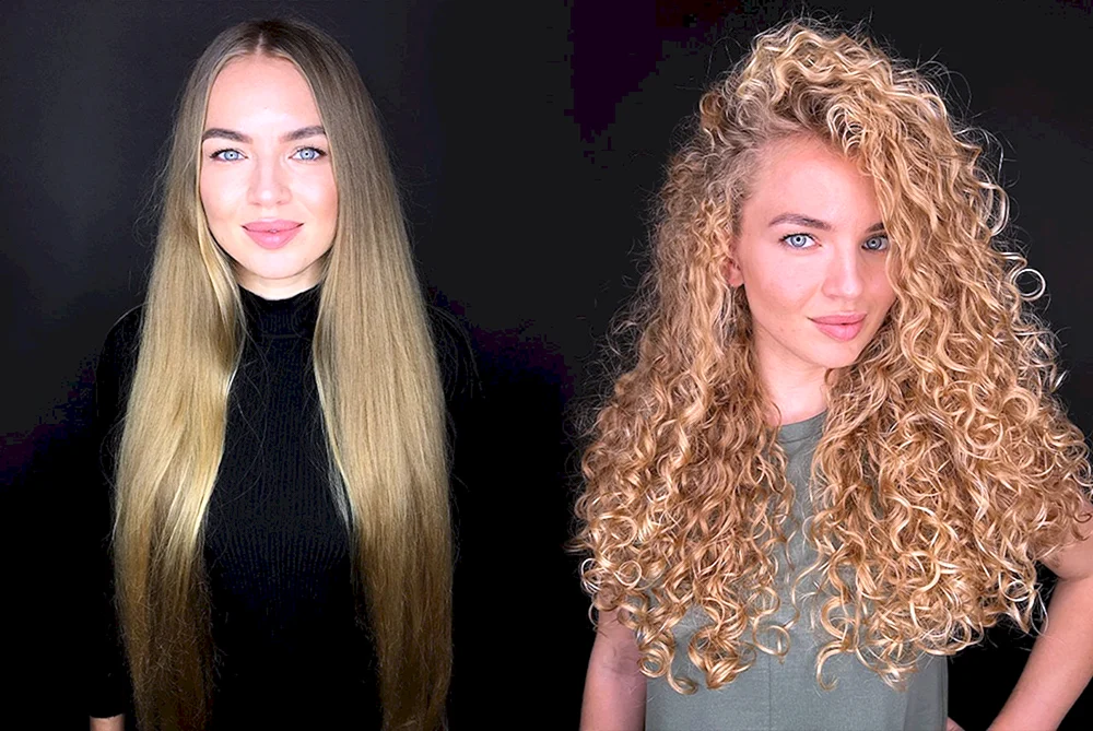 Bio curl 2023