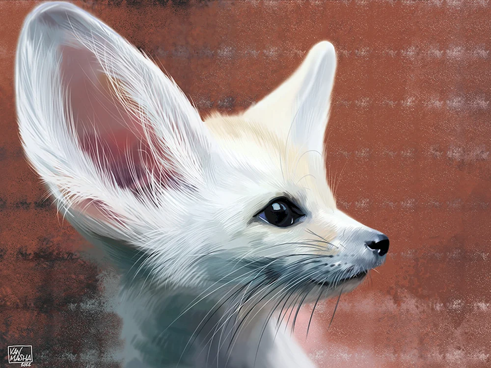 Fuchs feneq