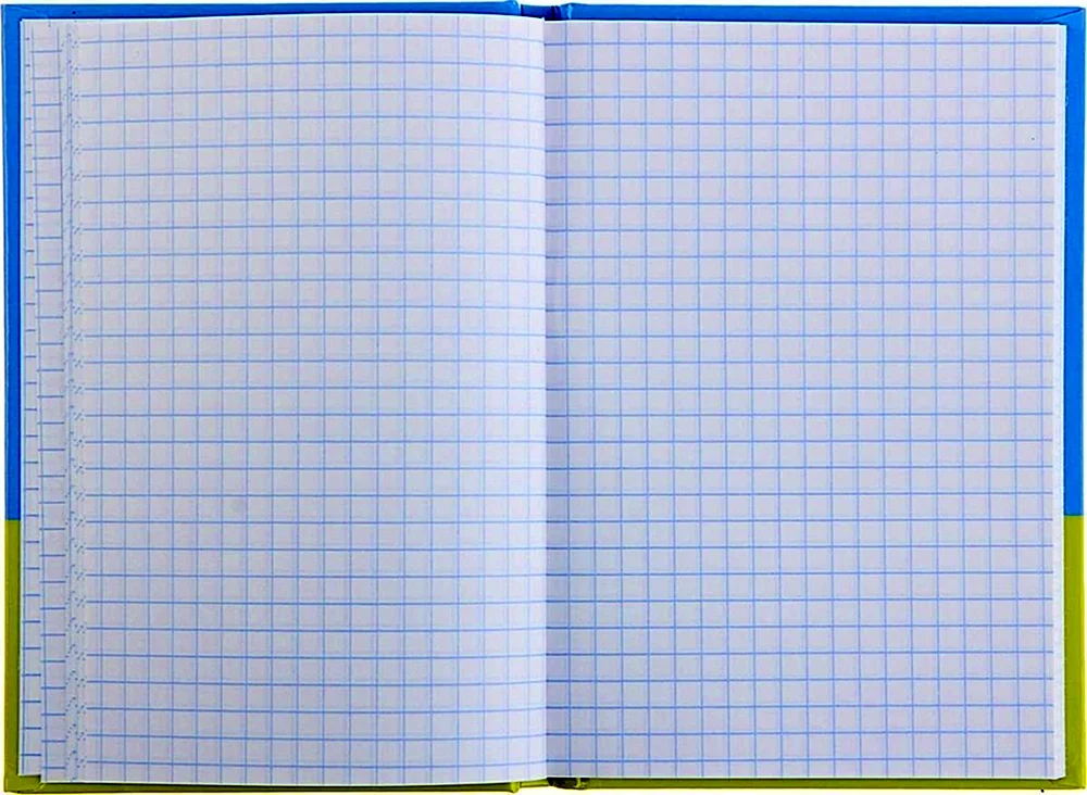 Blatt aus kariertem Papier