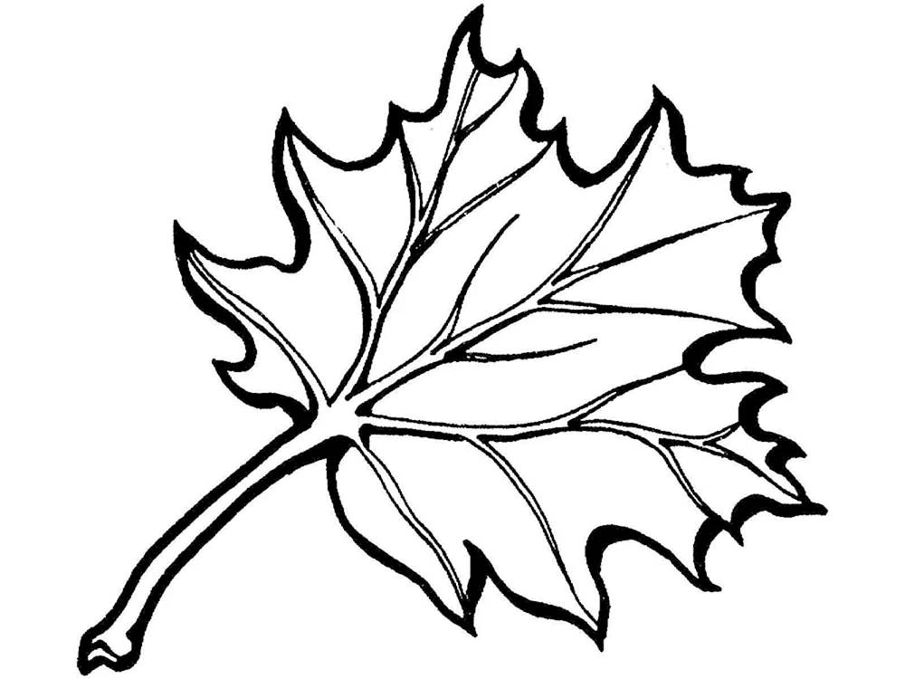 Herbstblatt Schablone Blätter
