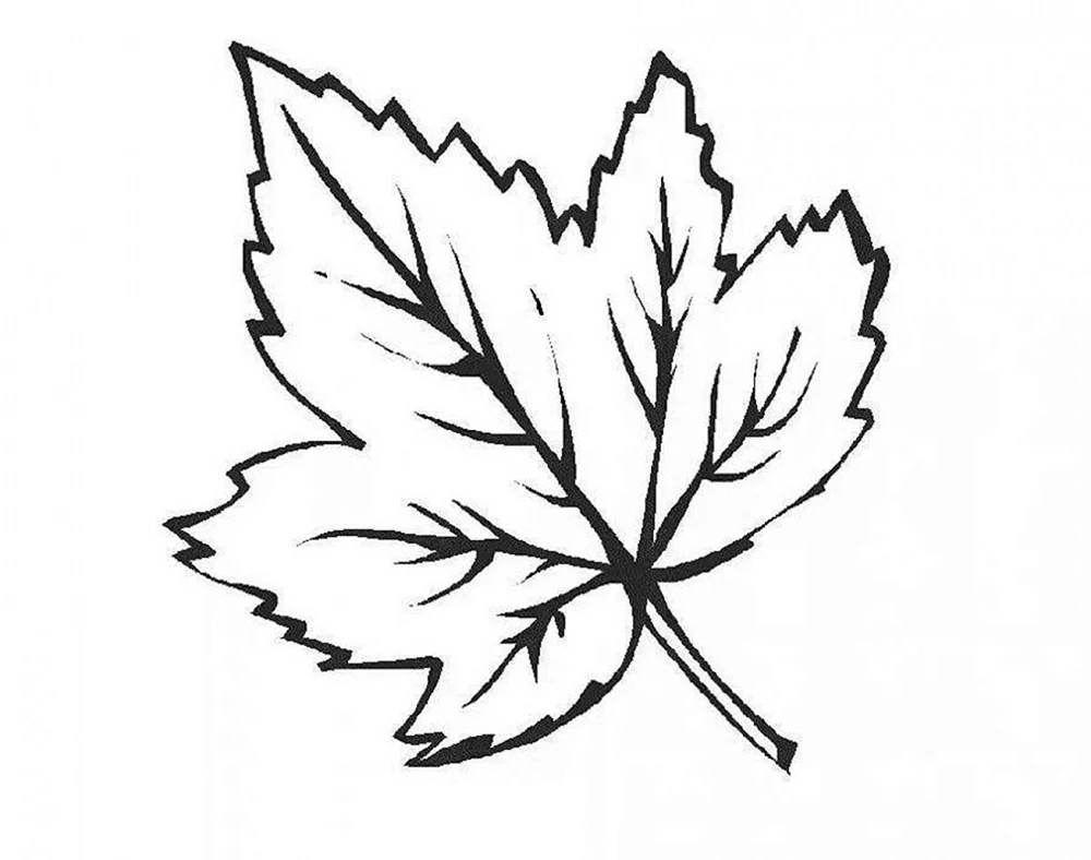 Blätter ausmalen