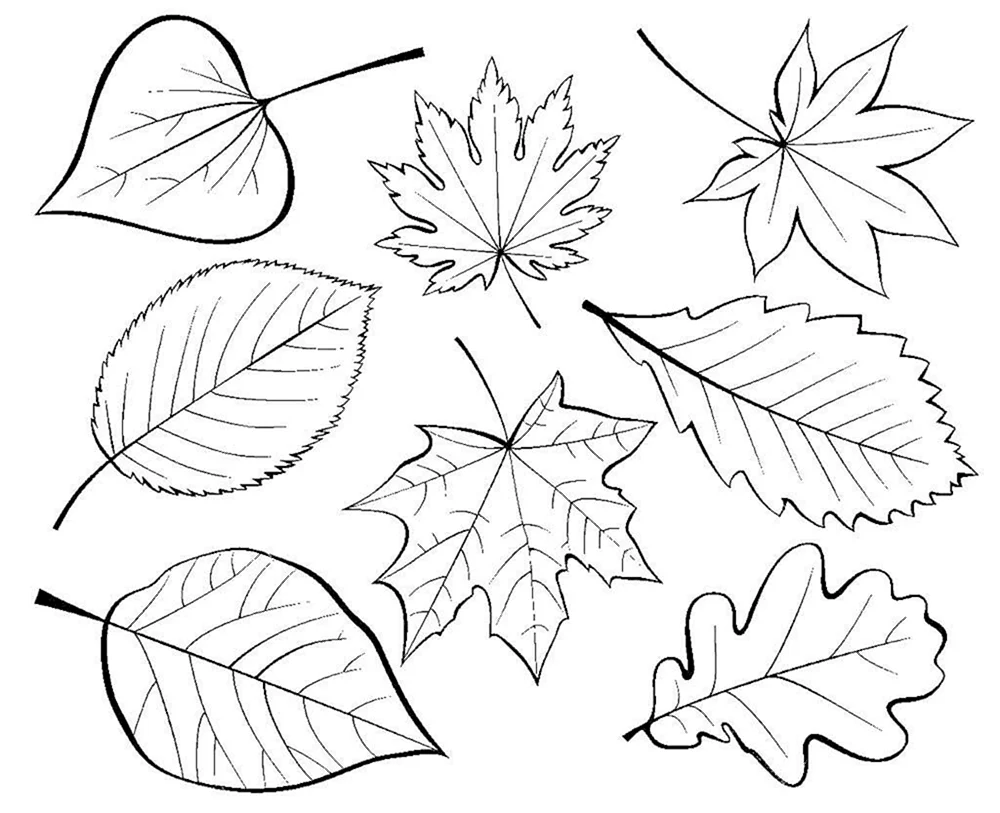 Herbstblatt Schablone