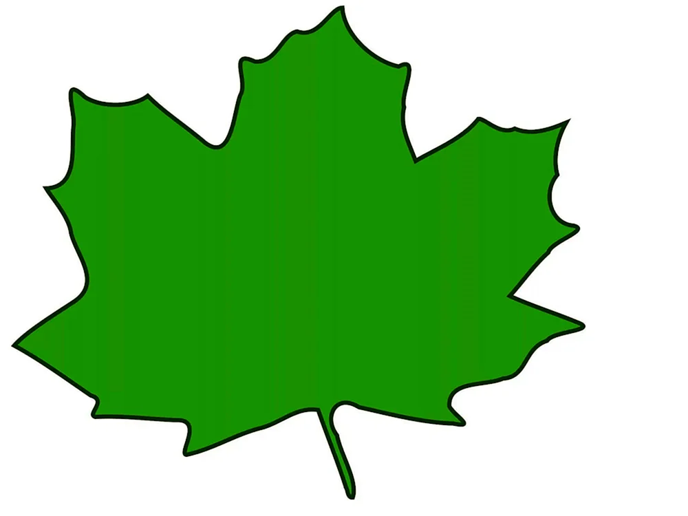 Baumblätter