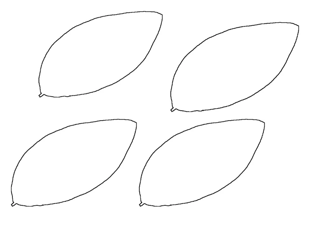 Papierblumenrohlinge