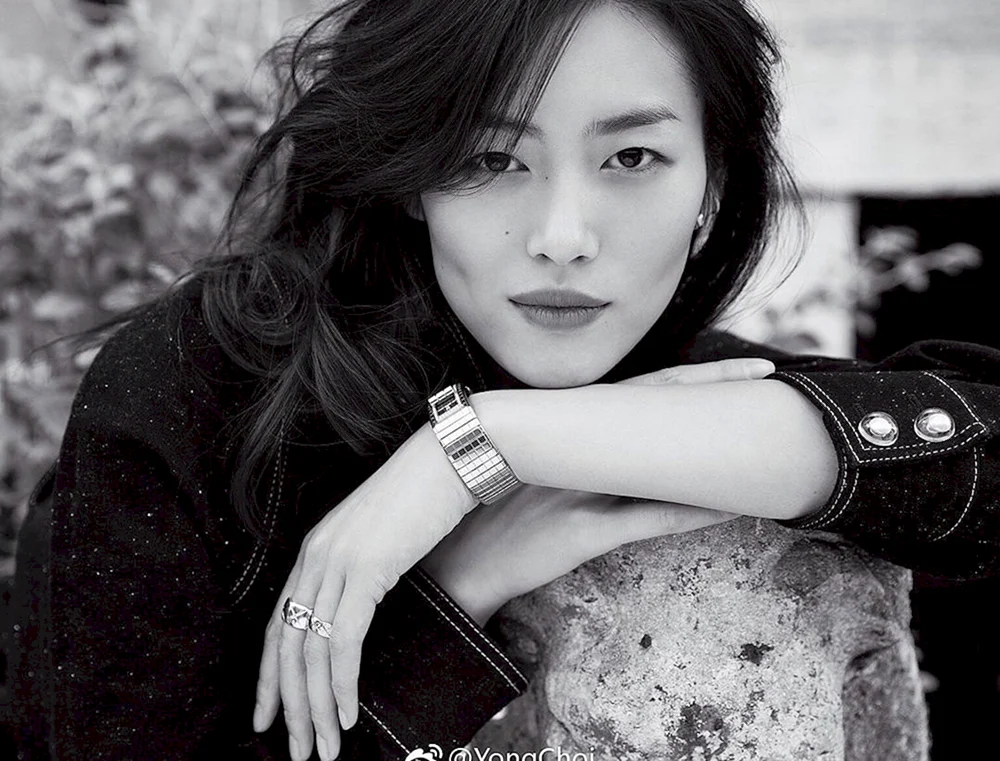 Liu Wen