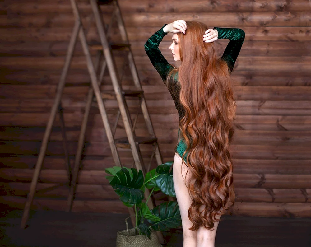 Lange Haare Rapunzel Frisuren