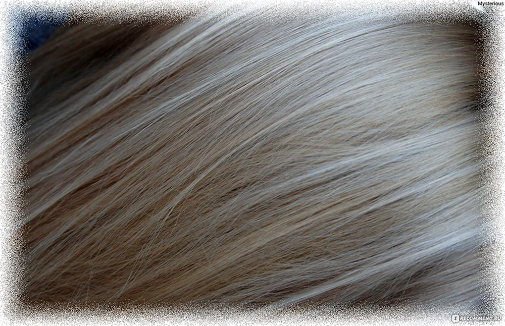 Loreal 10. 21