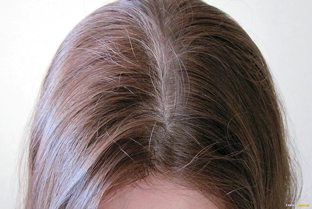 Syoss Gloss Sensation Haarfärbemittel