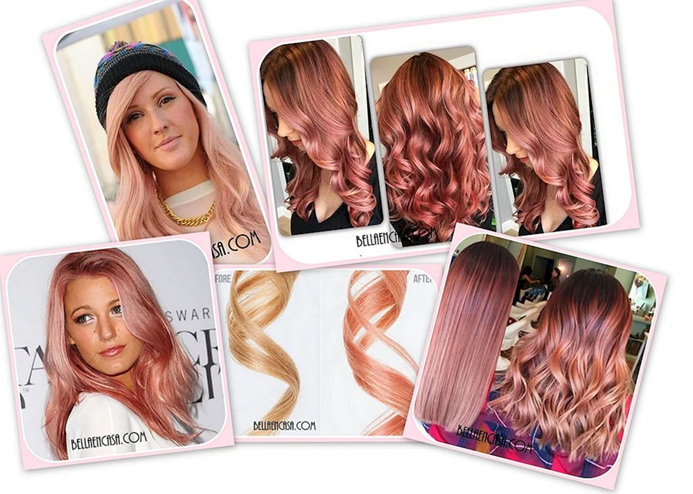 Garnier 8.12