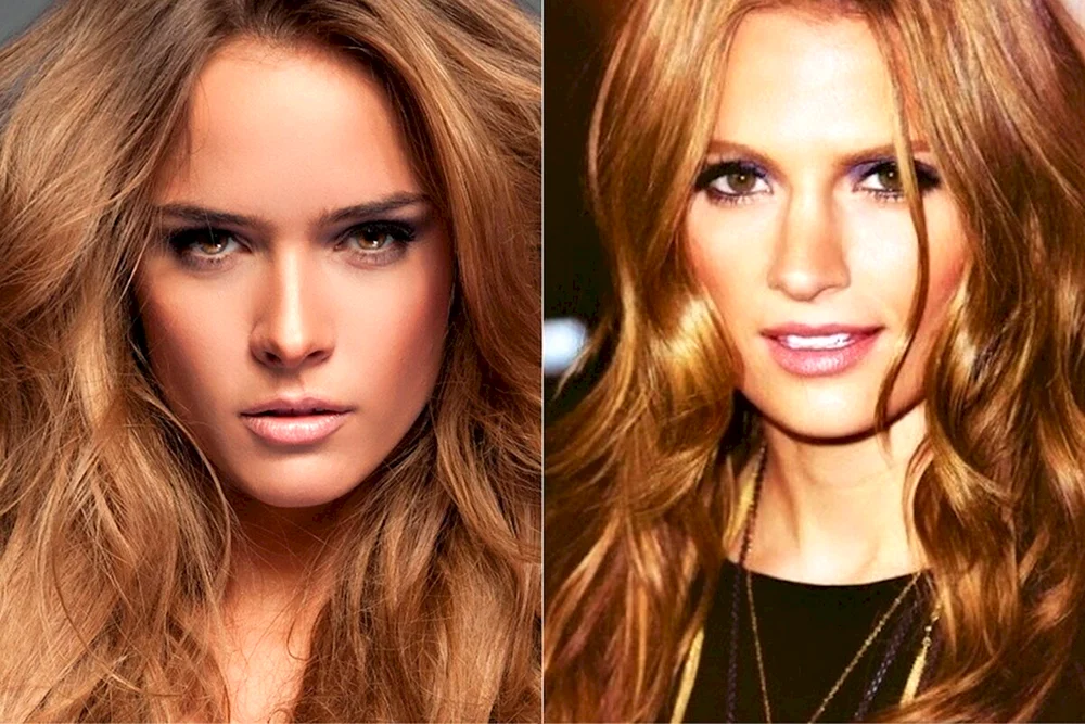 Loreal Honig Blond