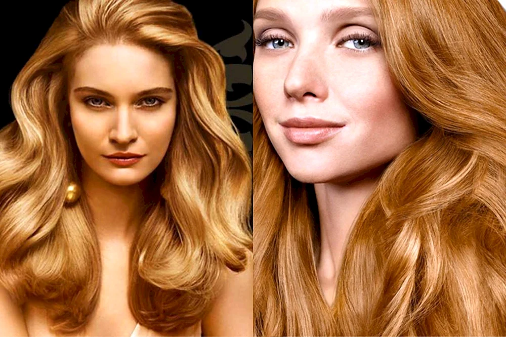 Loreal Honigblond