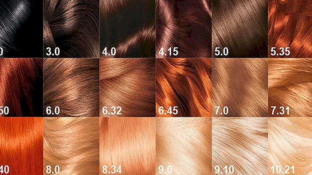 Loreal Prodigy 8. 1