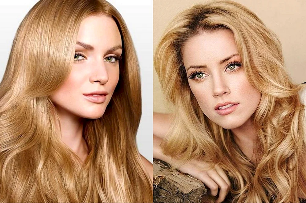 Loreal Weizenblond