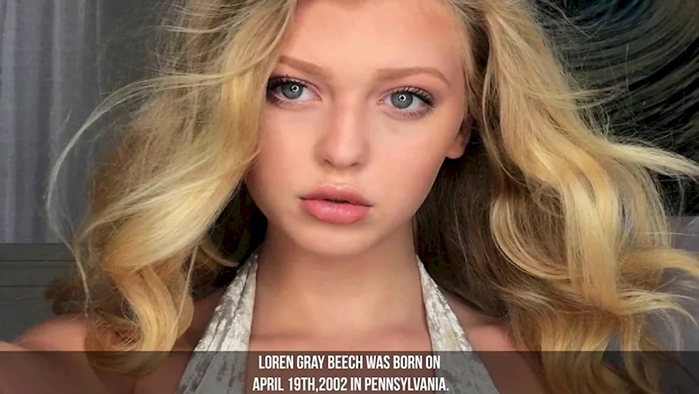 Lauren Grau Zecke