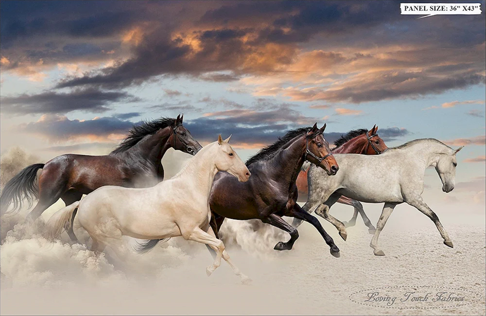 Rennender Mustang