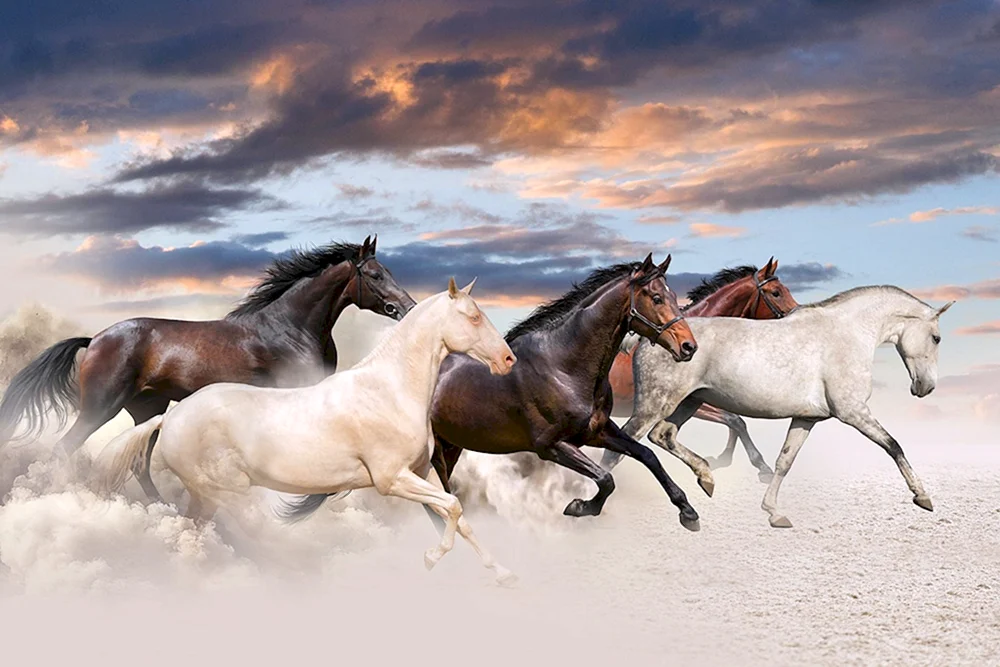 Manych Gudilo Mustangs