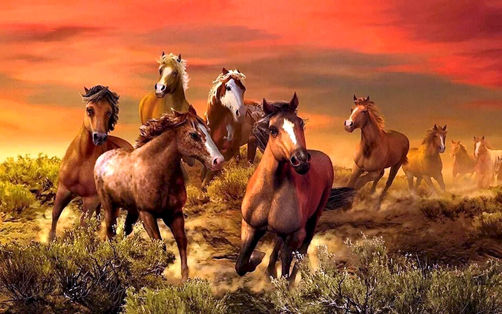Wildpferde Camargue