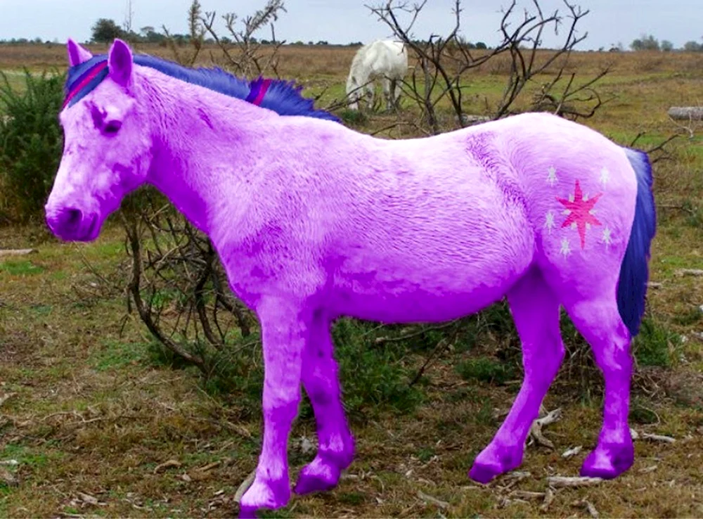 Pferde rosa