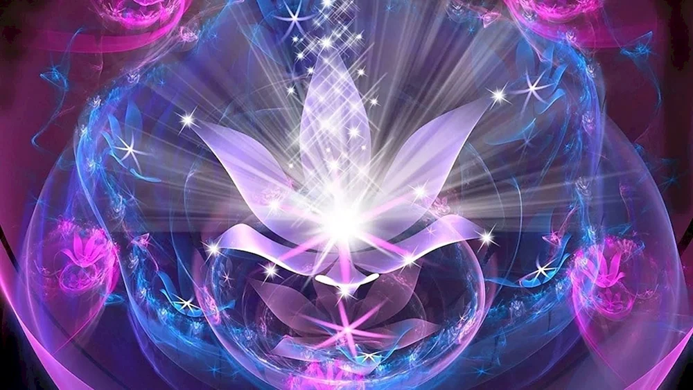 Lotus Aura