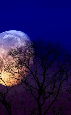Mond