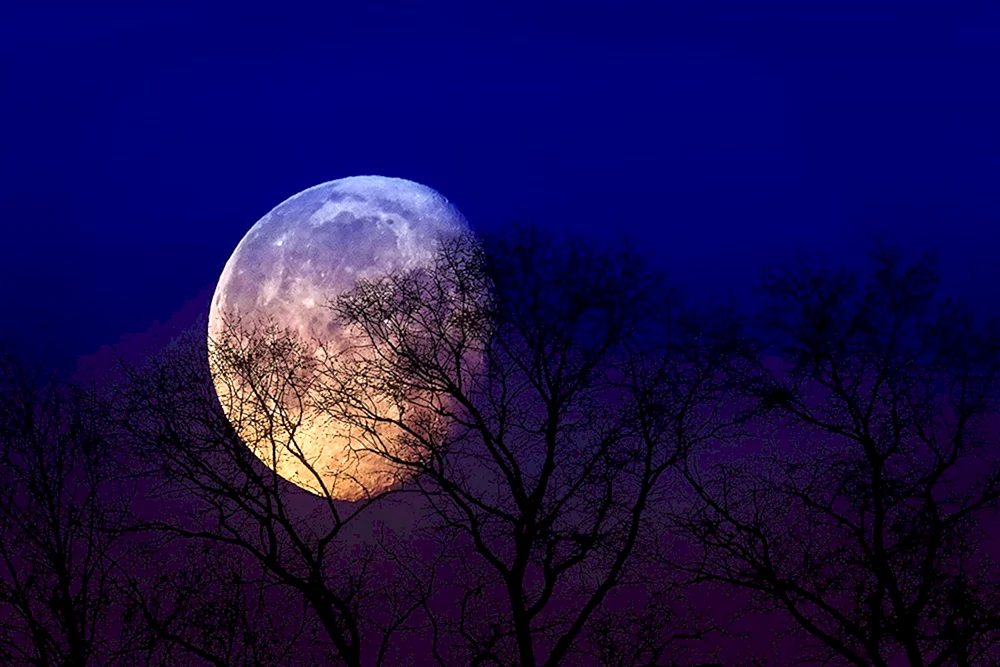 Mond