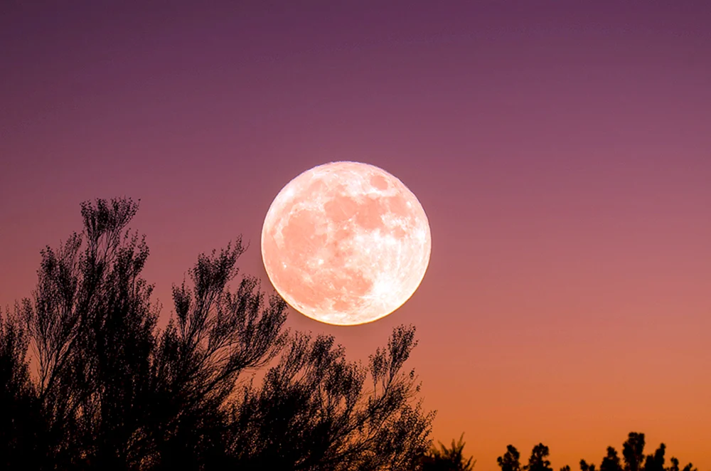 Mond