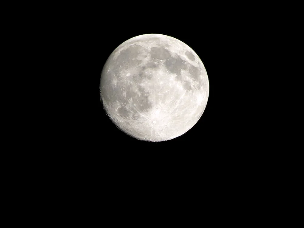 Mond