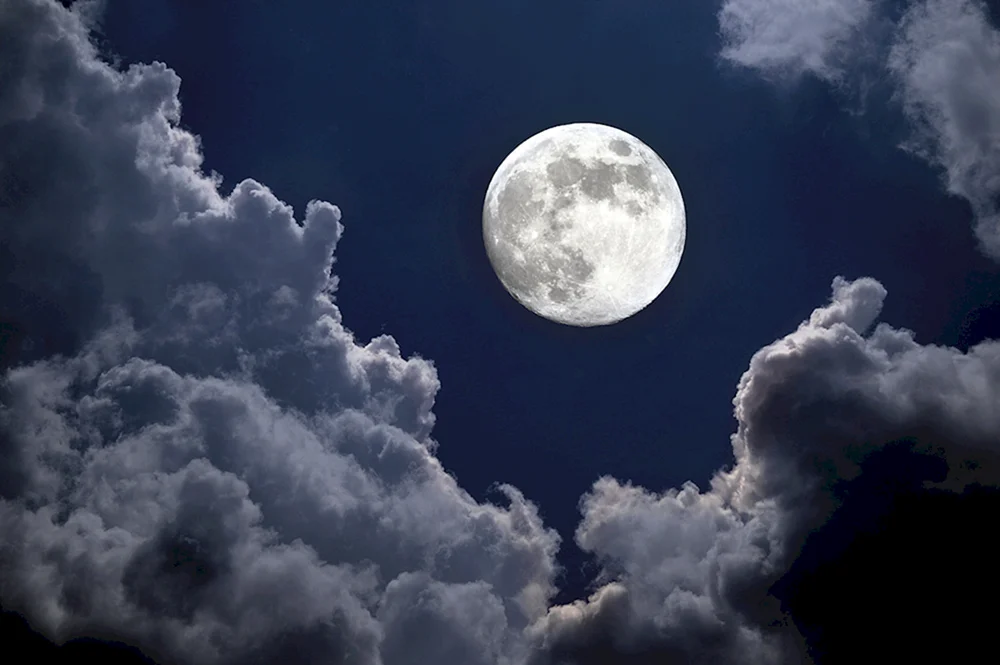 Riesenmond