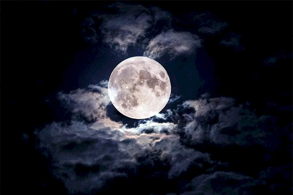 Luna