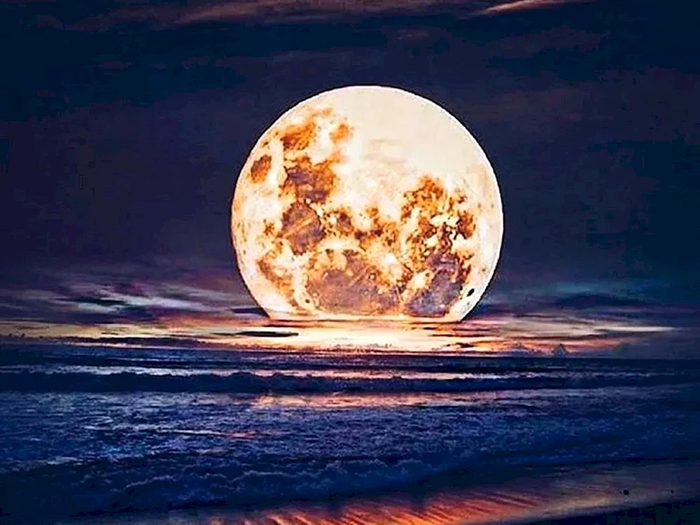 Mond