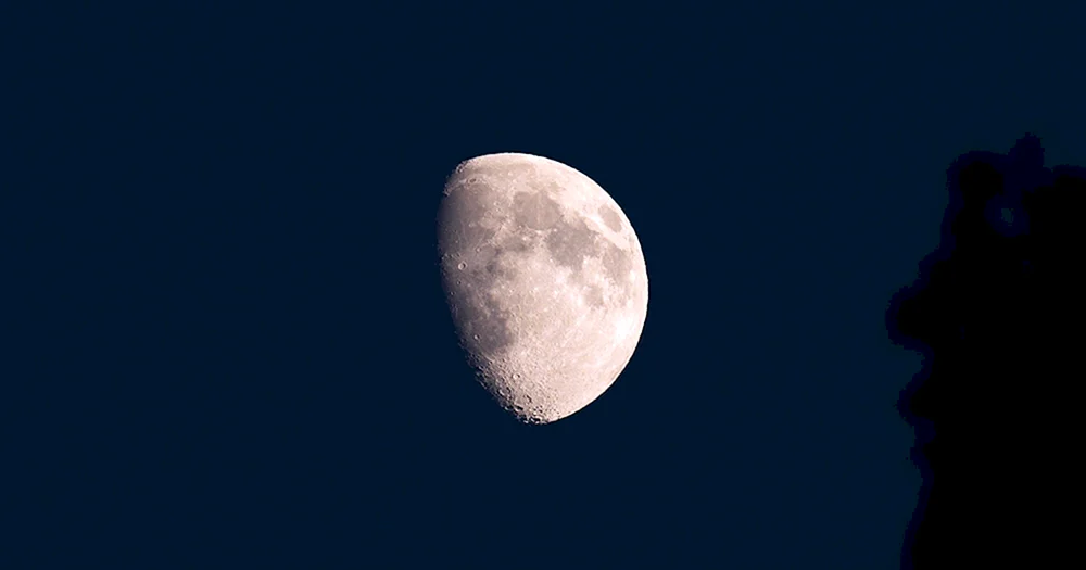 Luna- Luna Sofia