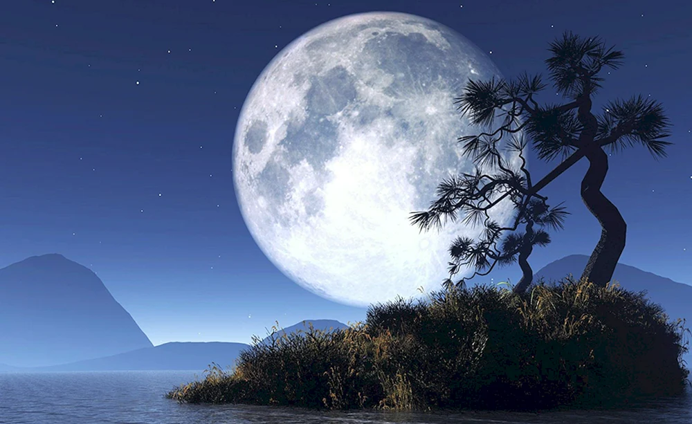 Nachtmond. Mond
