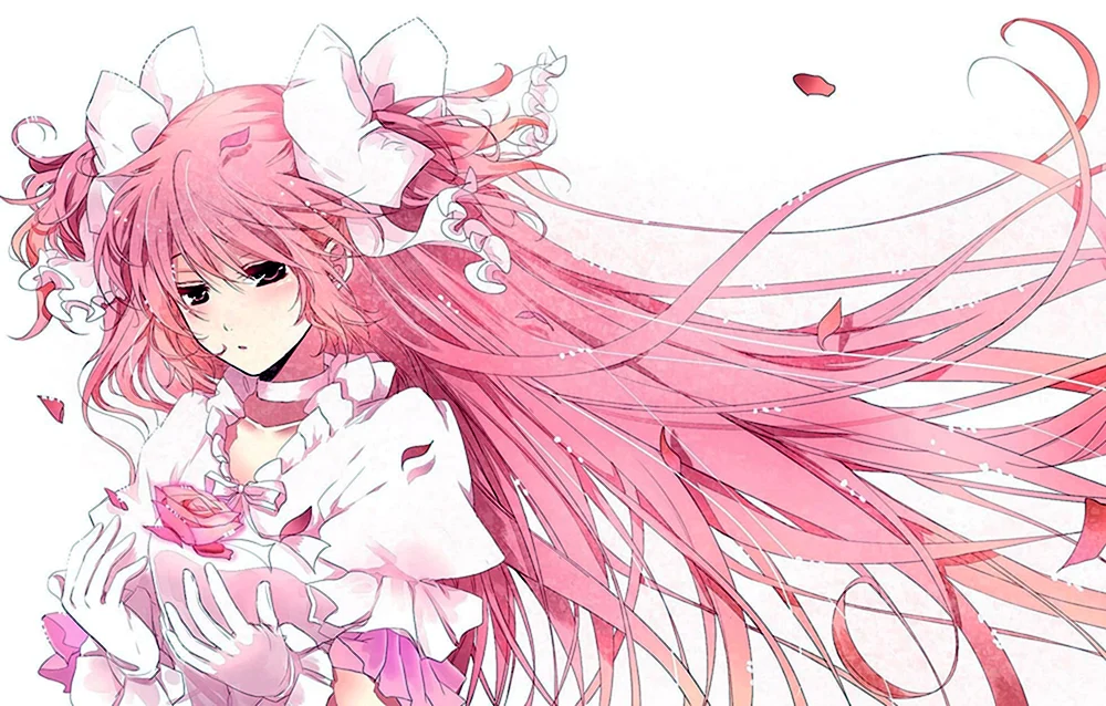 Sakura Kirschblütenbaum