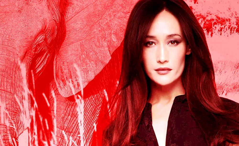 Maggie Q Schauspielerin