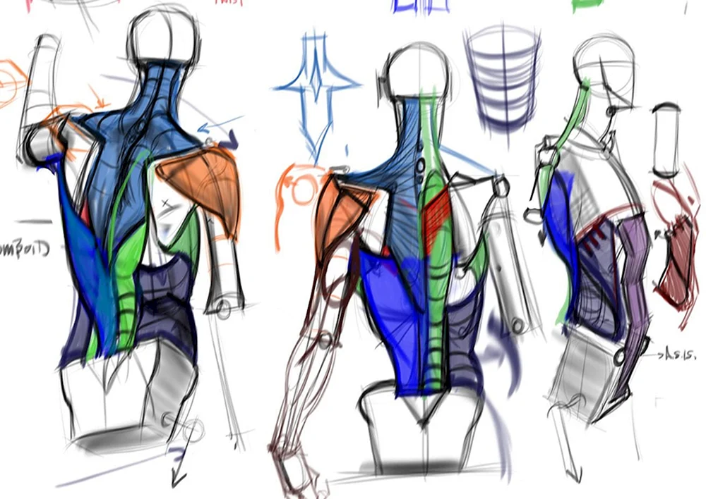 Zbrush Torso
