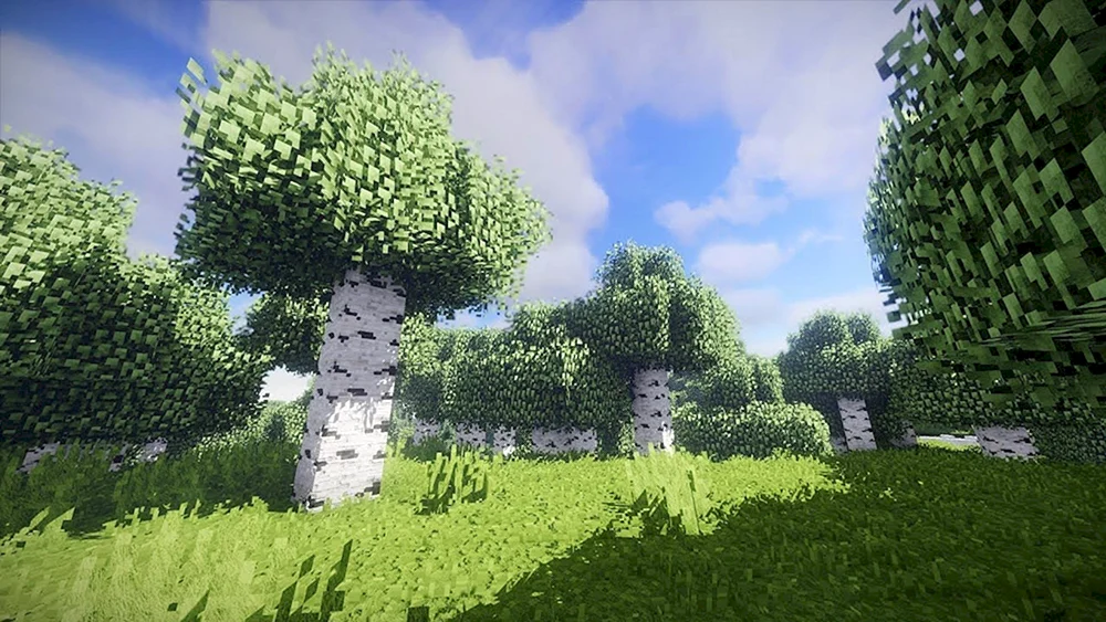 Maincraft Hintergründe
