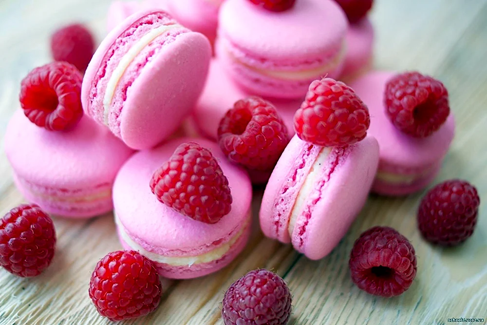 Macarons mit Himbeeren