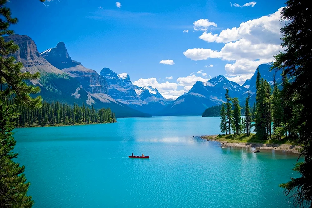 Malinsee