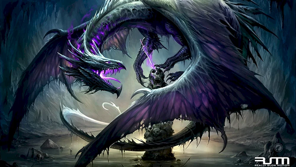 Malassa Drache der Finsternis