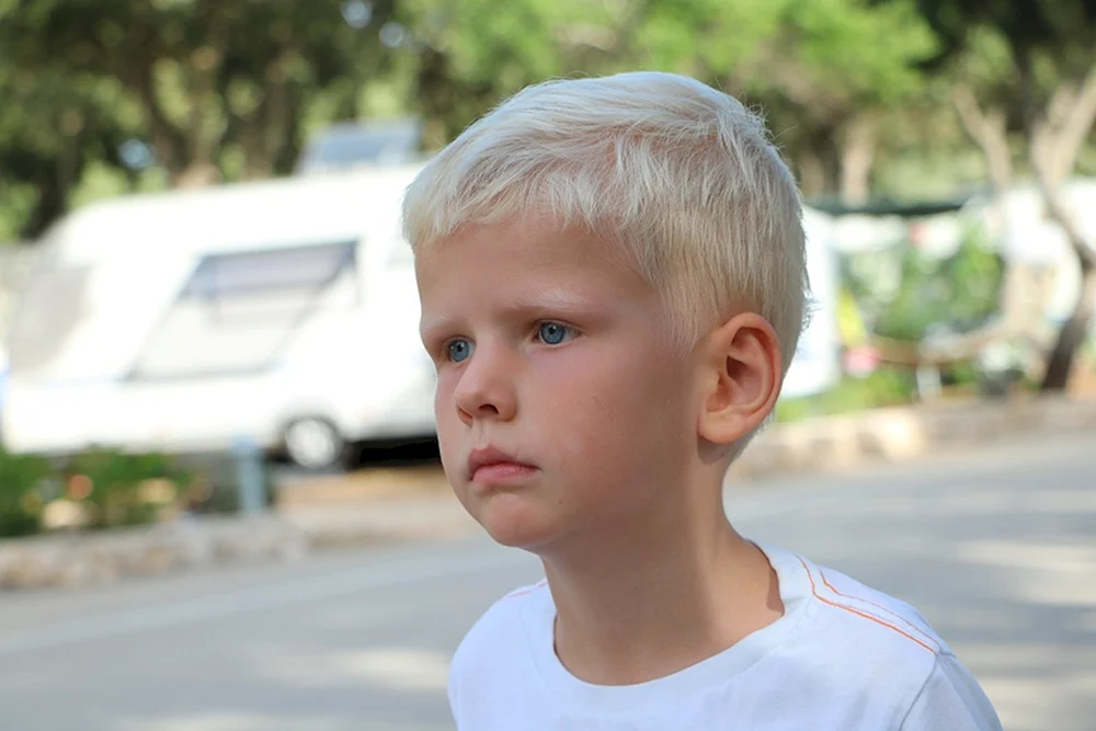 Boy blond