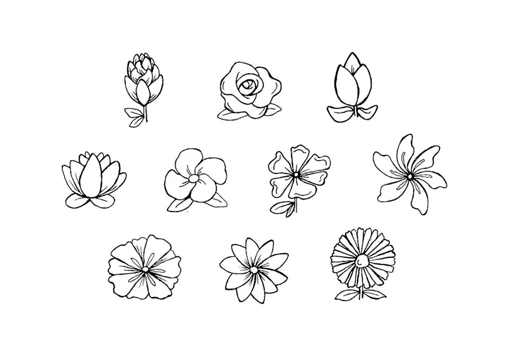 Blumen. Ausmalen