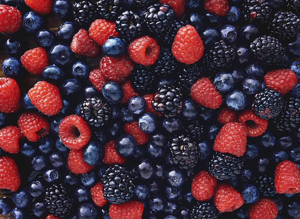 Schwarze Himbeere und Brombeere