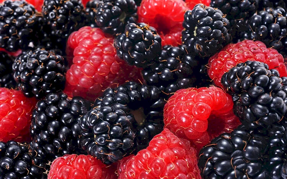 Smoothie-Brombeeren