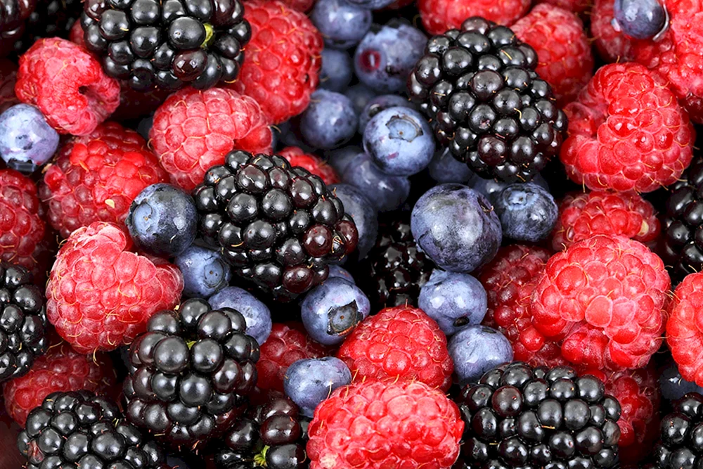 Himbeer-Himbeeren.