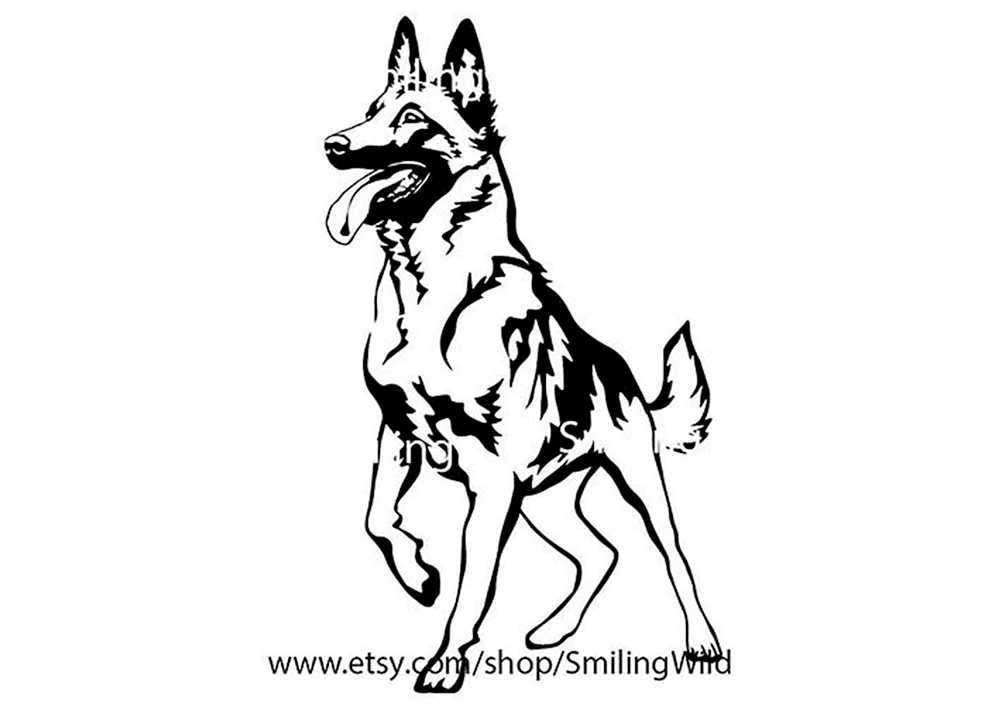Deutscher Schäferhund Buntstifte