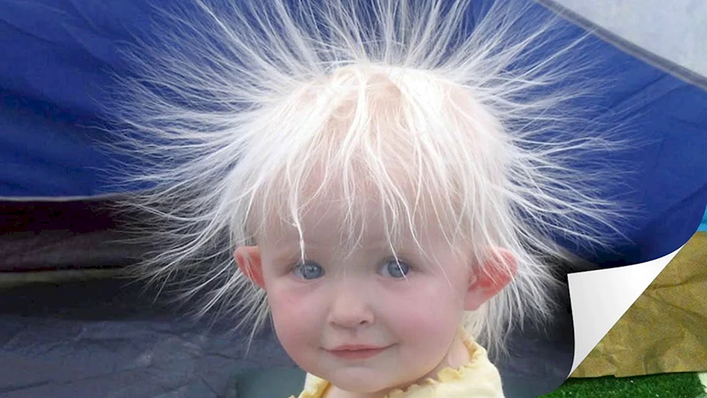 Lustig Frisuren