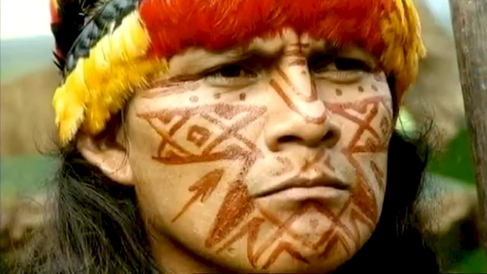 Mapuche Indianer
