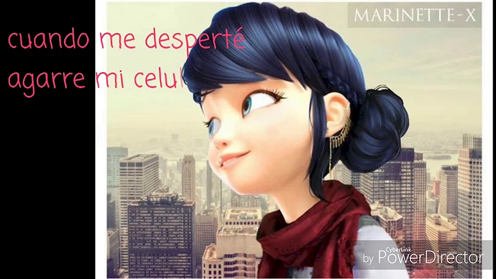 Marinette Dupin Chen