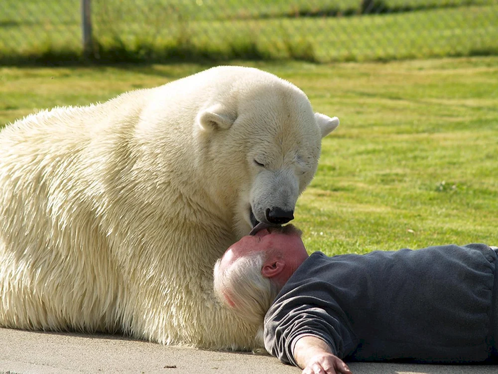 Mark Dumas und Eisbär