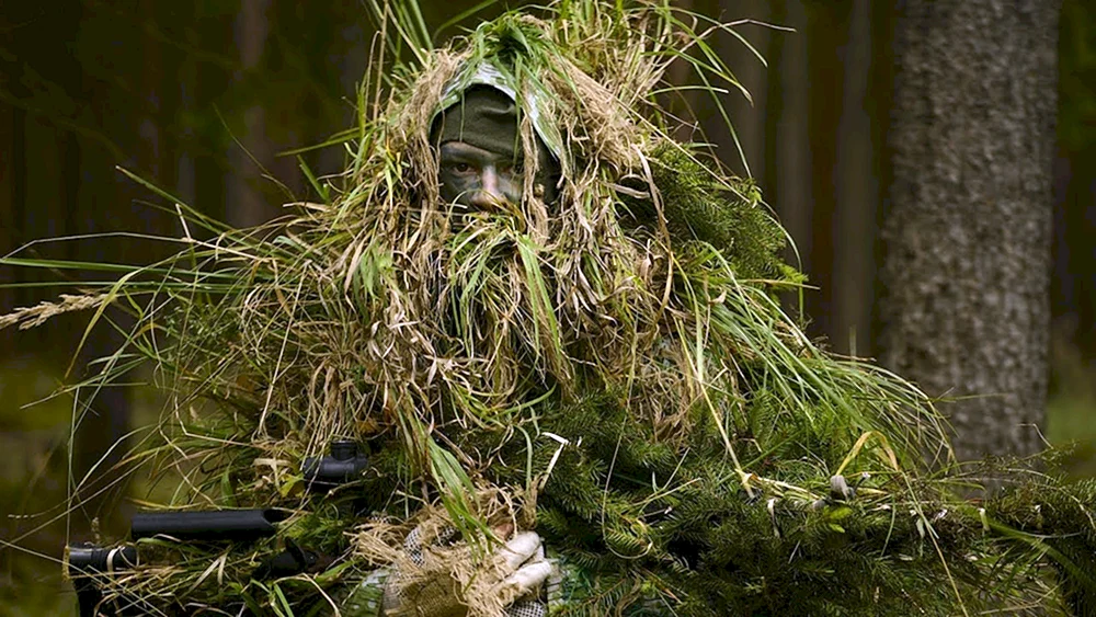 Leshy Erscheinung